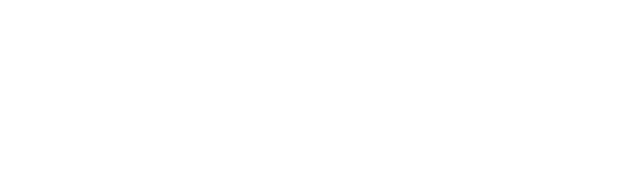 XXVII COBRASEMT